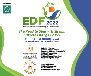 Environment and Development Forum 2022